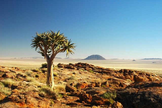 Karoo Desert: A Land of Contrasts - south africa: land of contrasts speech